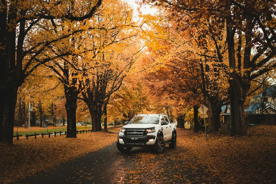 Trucks